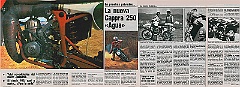 motos protos 1981 m 250 prs1  1981 - Prototipo Montesa Cappra PRS Agua : prototipos, trofeo montesa, cappra, 250, agua, prs